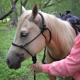 Reinsman Rope Halter & Lead