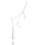 Showman® Woven nylon mule tape halter