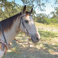 Reinsman Desert Racer Browband headstall