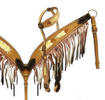 Showman® Hand painted feather design headstall and breast collar SH13044