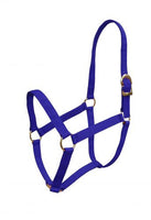 BMB  Poly halter with brass plated hardware. SH40639