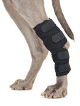 Back On Track Therapeutic Dog Hock Wraps