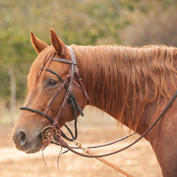 Martin Saddlery Bonnet Tie Down