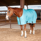 Classic Stable Sheet with Closed Front