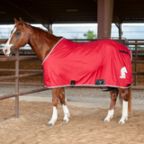 Classic Stable Sheet with Closed Front