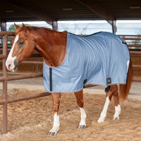 Classic Stable Sheet with Closed Front