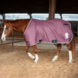 Classic Stable Sheet with Closed Front