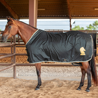 Classic Stable Sheet with Open Front