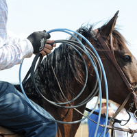 Classic Rope High Performance Roping Glove