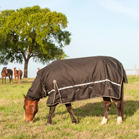 Classic Equine 5K Cross Trainer Winter Blanket with Hood