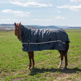 Classic Equine 5K Cross Trainer Winter Blanket with Hood