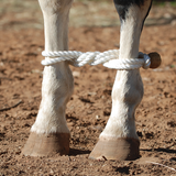 Martin Saddlery Rope Hobbles